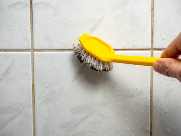 Best Residential Mold Removal  in Picacho Hills, NM